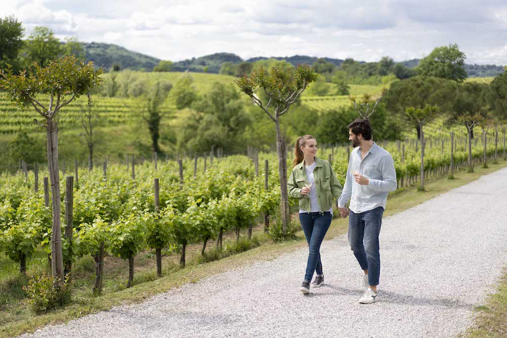 Strada dei vini e dei sapori Friuli Venezia Giulia