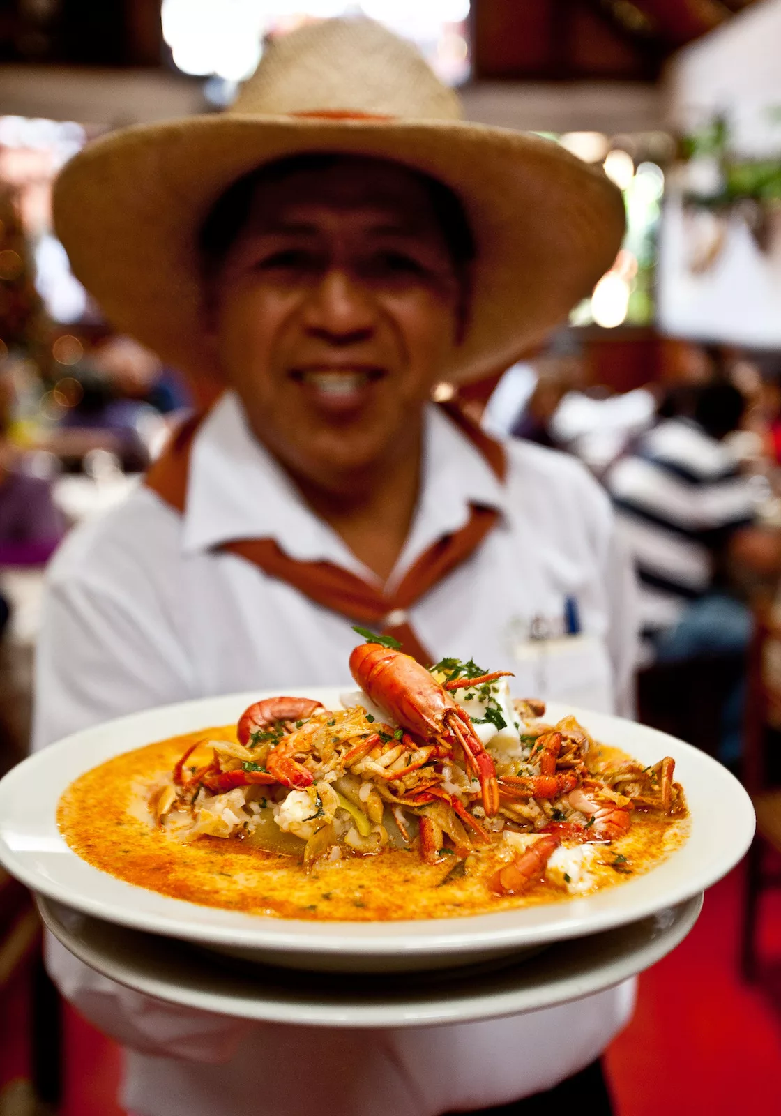 Peru - La Nueva Palomino