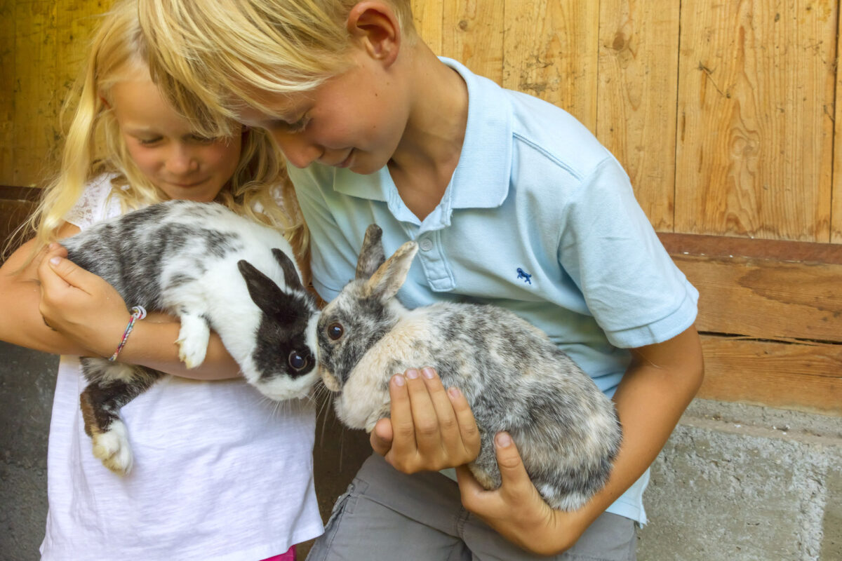 Vacanza bambini Sud Tirolo