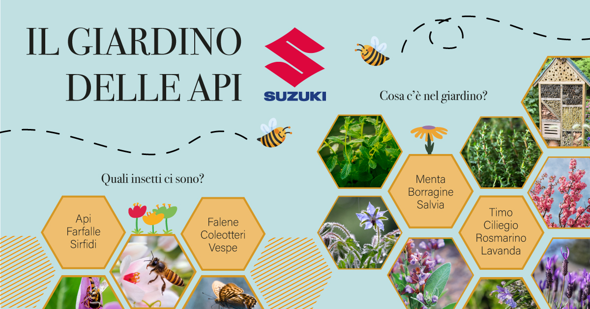 Giardino delle Api Suzuki