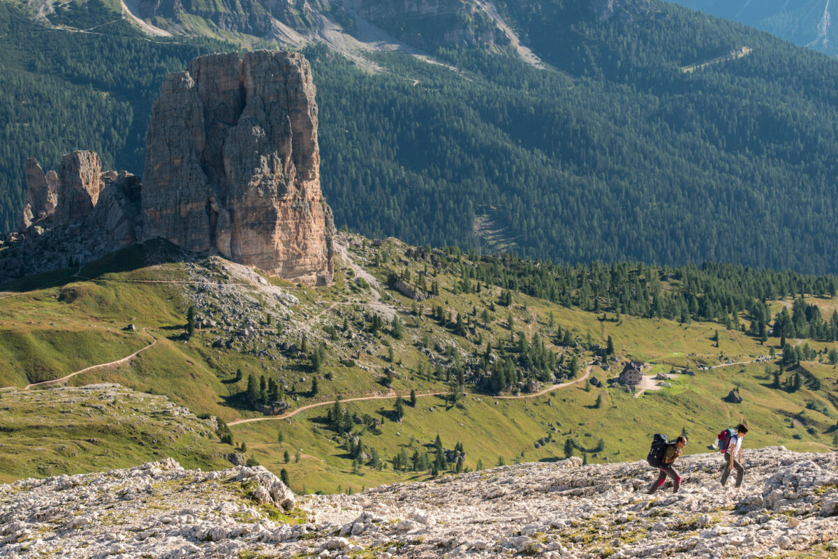 Cortina estate