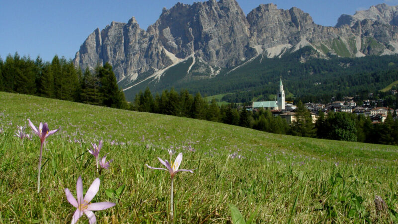 Cortina estate