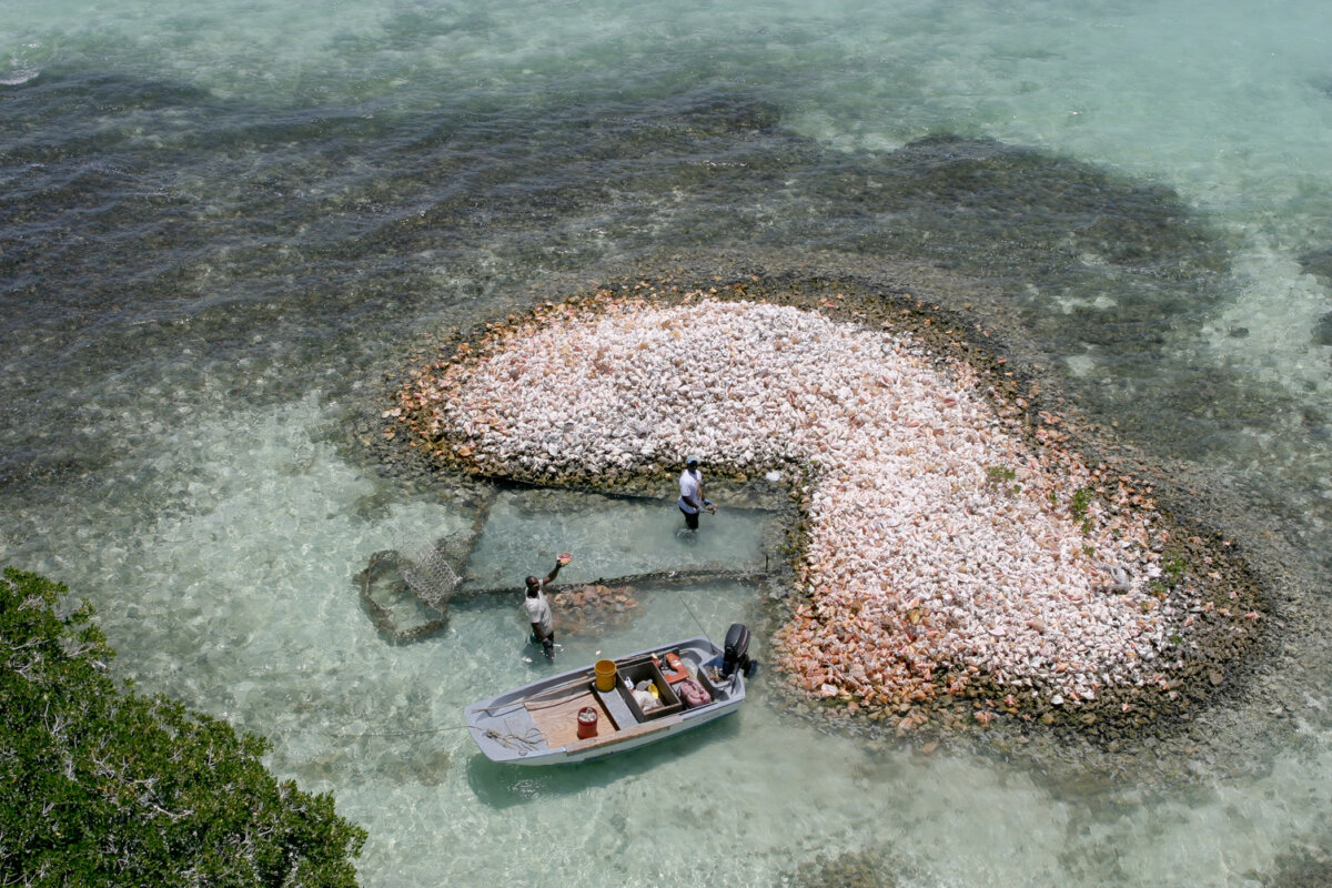 Isole Vergini Britanniche