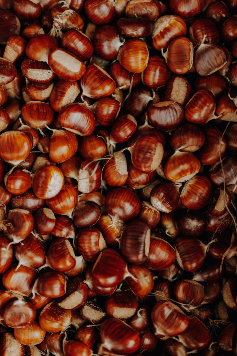 Sagre autunno Festa della Castagna