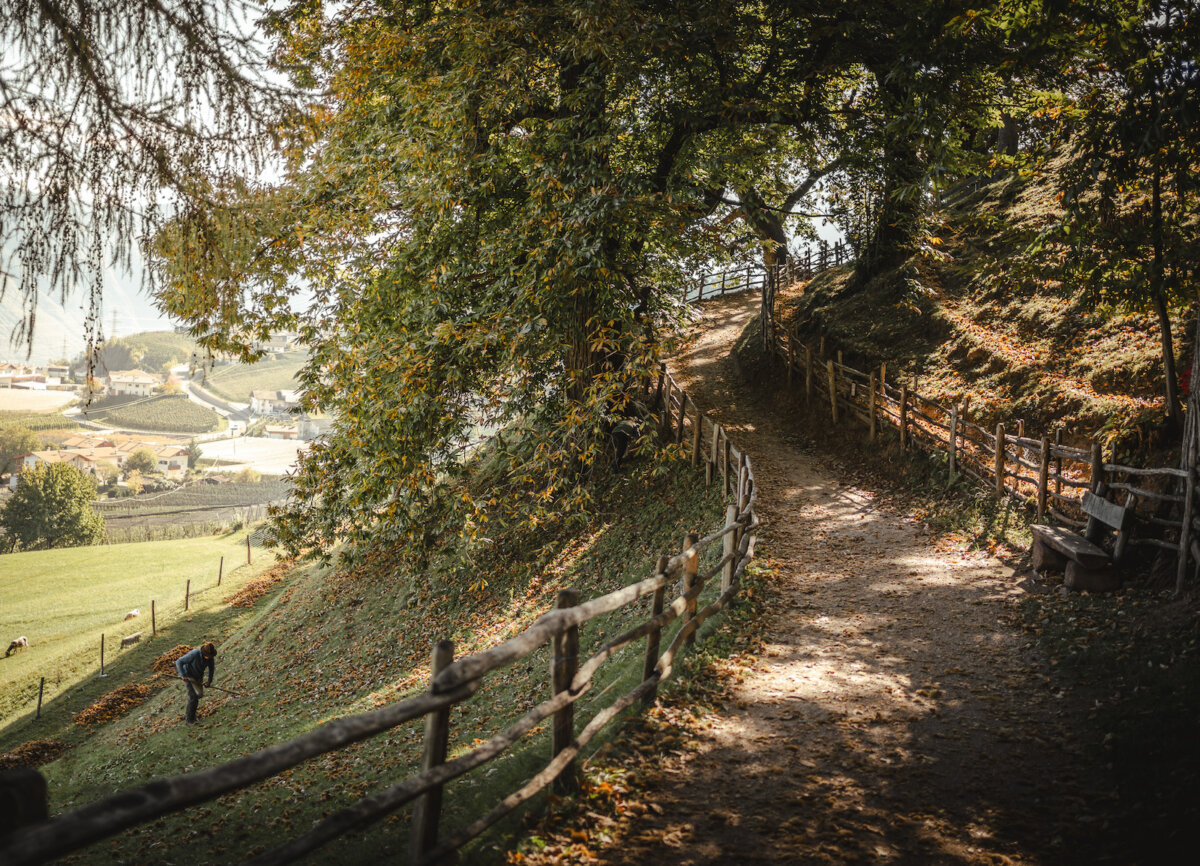 Sagre autunno Festa della Castagna