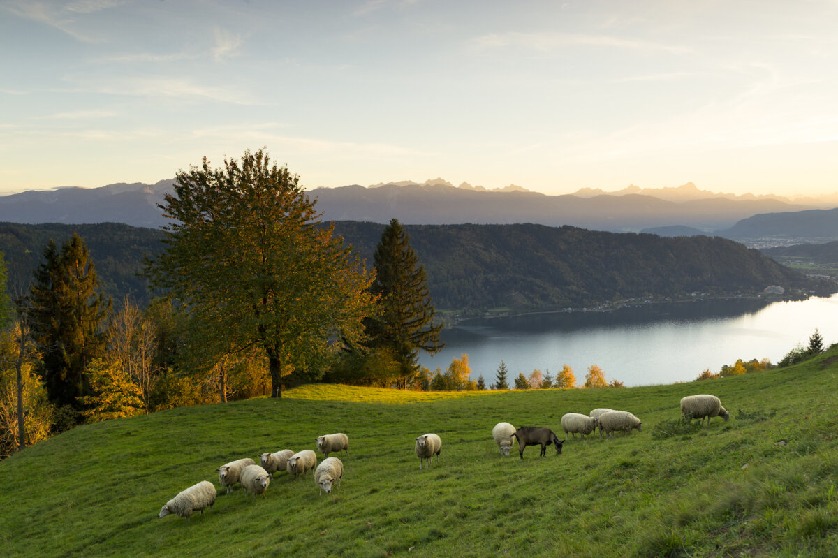 Lago Carinzia Austria