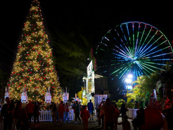 Miami Natale Christmas Wonderland