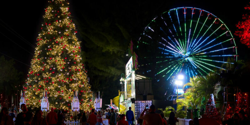 Miami Natale Christmas Wonderland