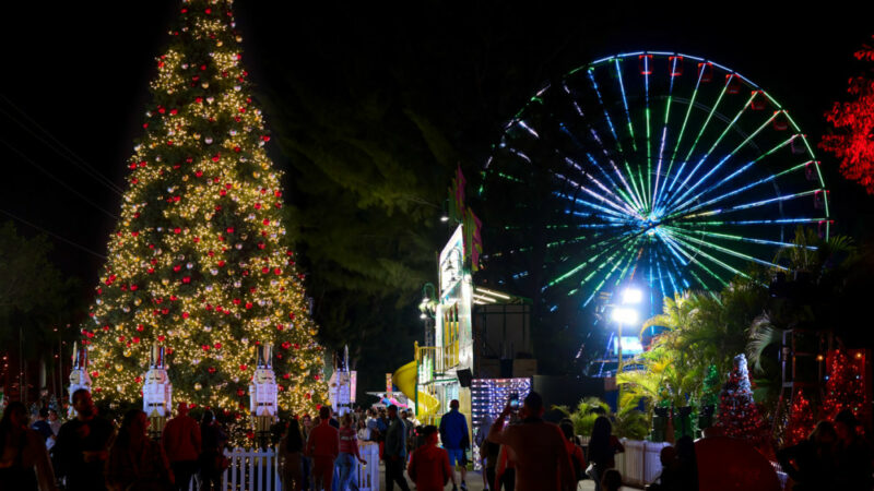 Miami Natale Christmas Wonderland