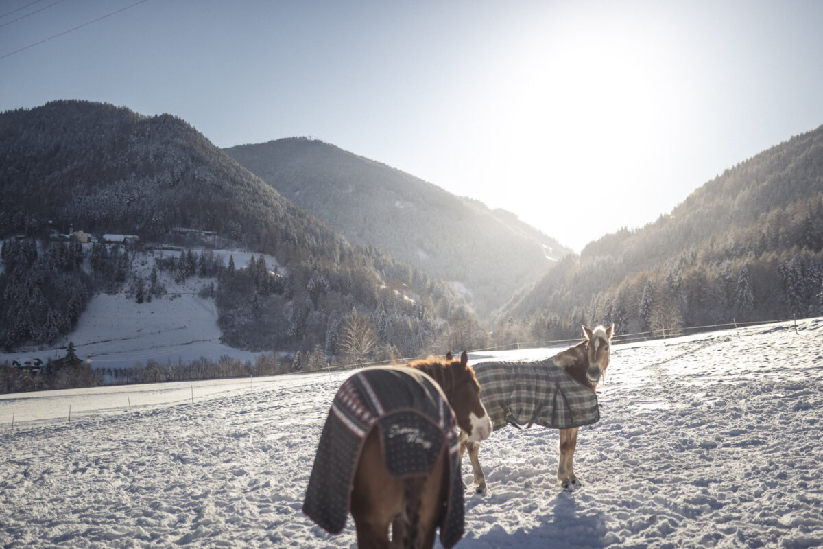 Cavalli Luxury Chalet Purmontes