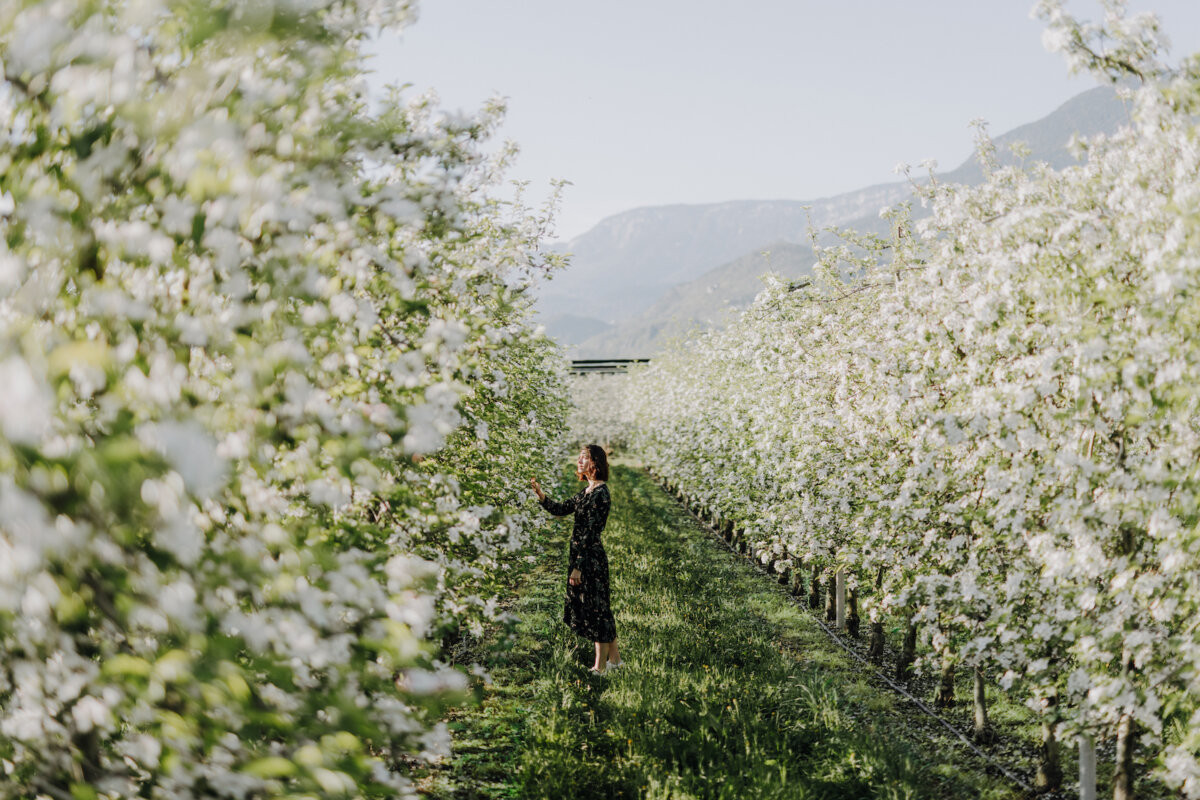 Fiori Alto Adige